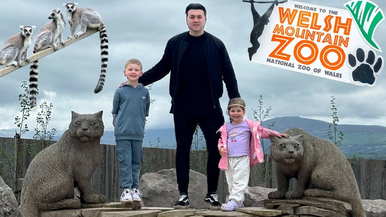 A trip to the Welsh Moutain Zoo