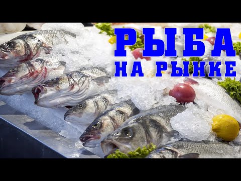 Video: Jak Si Vybrat Ryby