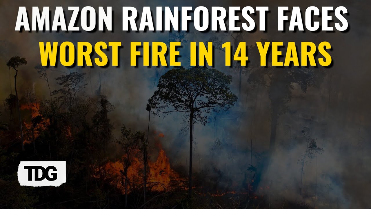 Brazil’s Amazon Faces Worst Fires in a Decade Amid Devastating Drought