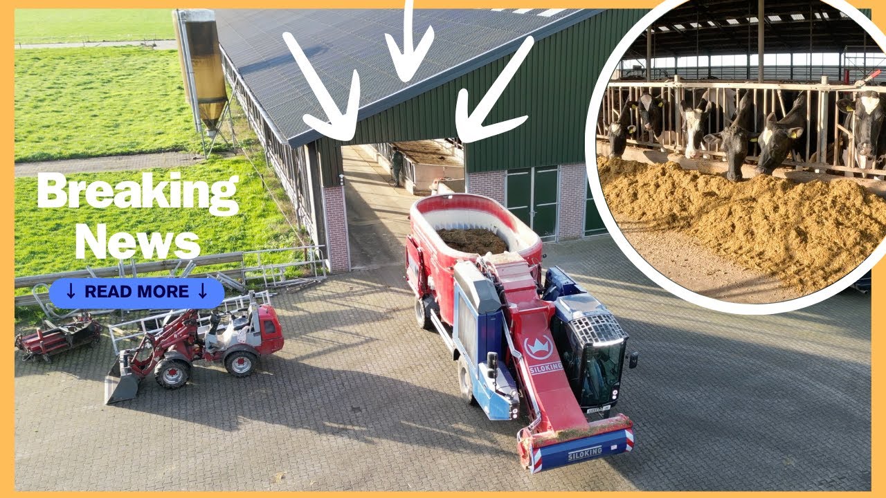 WIE doet WAT? - Voeren en Meer - Dag Vlog