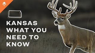 HOW TO GO HUNTING IN KANSAS screenshot 5