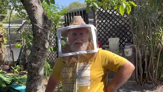 Easy swarm capture gets complicated! - Beekeeping