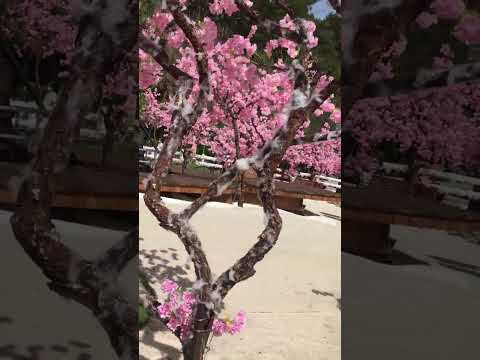 Khám phá Việt Nam, cùng tôi du lịch, travel with me.