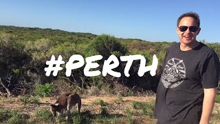 WE SAW A KANGAROO! 😱 TRIP to PERTH - vlog