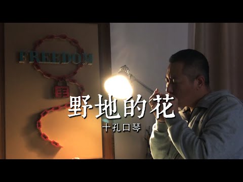 🎵【野地的花】十孔口琴 蓝调布鲁斯口琴演奏【wild flowers】harmonica worship praying music 🌈