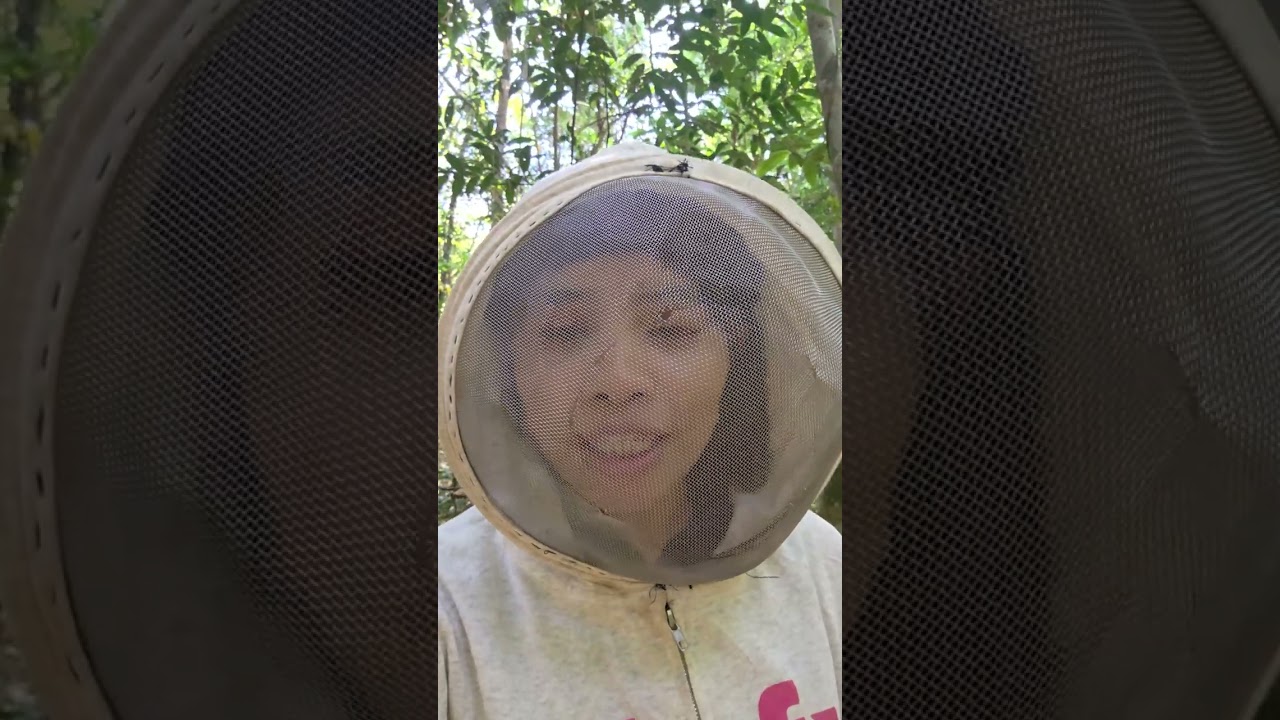 បង្ខៅគាត់ឡើងប្រមាញ់ឃ្មុំ បោកអ្នកនៅខាងក្រោម🥲🥹