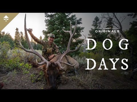 DOG DAYS - An Elk Hunter's Dream