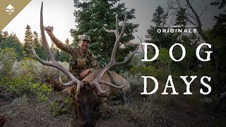 DOG DAYS - An Elk Hunter