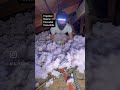 #if #I #spoke #in #reverse #this #is #what I’d #sound #like #attic #adventure #wearing #TKC #extreme