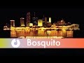 Bosquito - Suflet nou (Official Lyric Video)