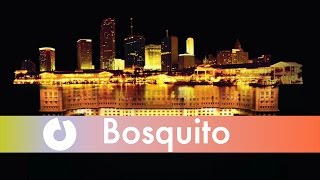 Bosquito - Suflet nou (Official Lyric Video) chords