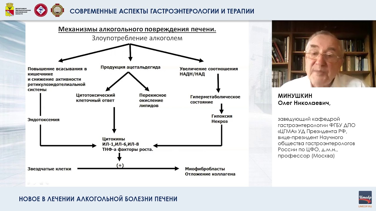 Программа лечения алкоголизма решение. Схема терапии алкогольной болезни печени. Лечение СИБР Минушкин. Синдром избыточного бактериального роста в кишечнике диета.