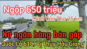 Nợ ngân hàng bán gấp 650 triệu/ công, Mặt tiền Quốc Lộ 61C ,Vị Thủy HậuGiang, LH 0792246079 gặpLong