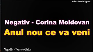 Anul nou ce va veni  - Negativ Corina Moldovan