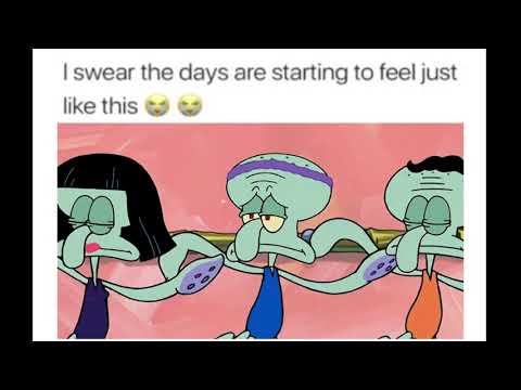 Squidward everyday is the same