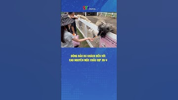 Đông đảo du khách đến với cao nguyên Mộc Châu dịp 30/4