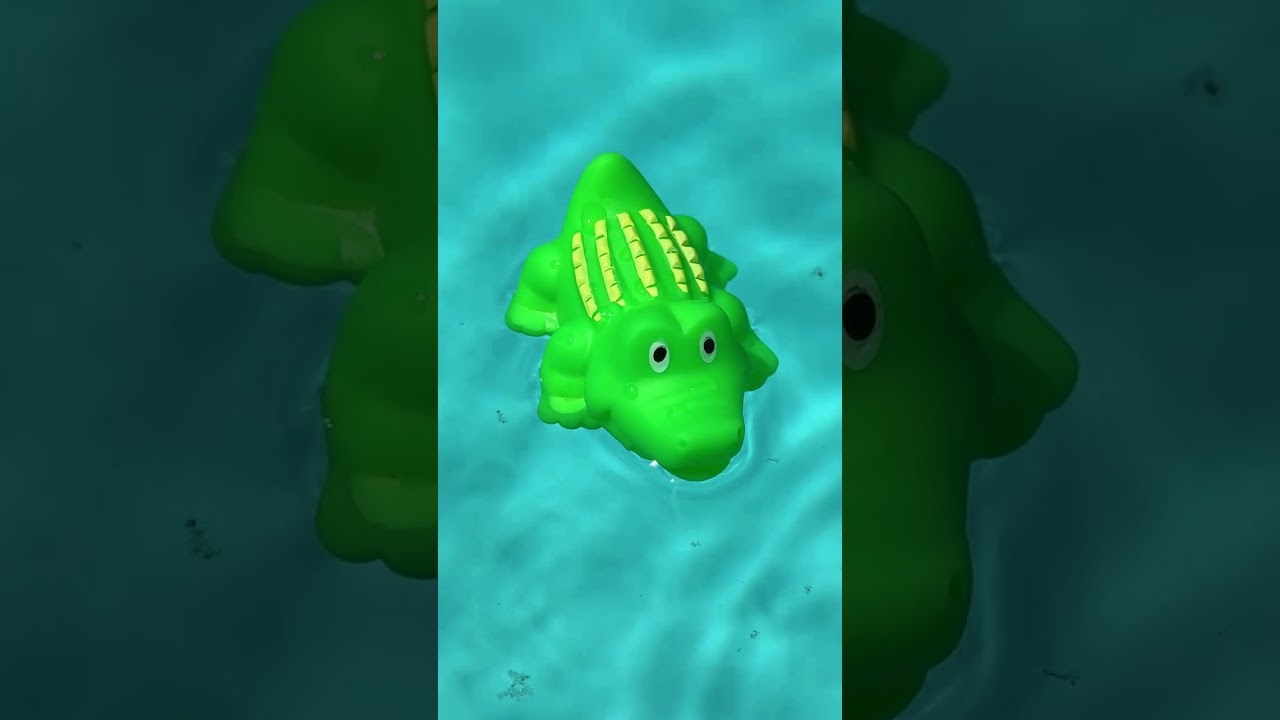 COLORFUL sea animals! 