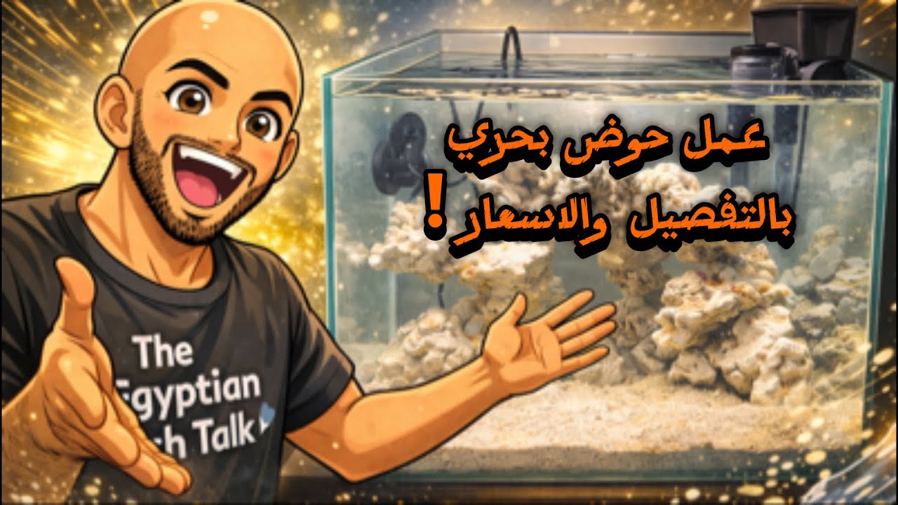 S6E96 - عمل حوض بحري بالتفصيل والأسعار