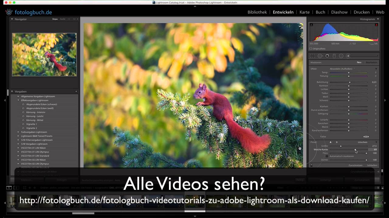 Lightroom Video Tutorial 16 April 2016