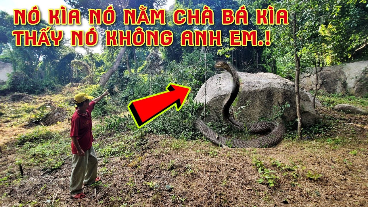 Испуганный мужчина стал свидетелем ужасного происшествия в заброшенной пещере на горе Кэм