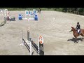 SLF 21 07 2025 Cazita Ter Schellebeek Mare 2025 By Ecclestone Z SLF 21 07 2025 Cazita Ter Schellebeek Mare 2025 By Ecclestone Z
