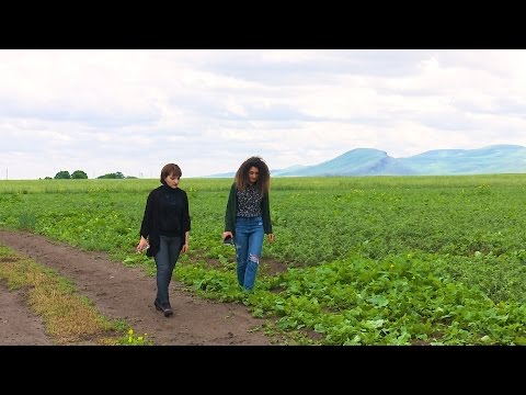 Video: Wintercress-ի դեղագործական կիրառություն – Իմացեք ձմեռային ցորենի տարածված միջոցների մասին