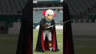 Swoop The Philadelphia Eagles