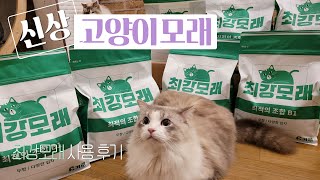 최강모래 리뷰영상 강력 추천해요!! l  신상 고양이모래 by 고양이발자국Catfootprint 376 views 2 months ago 6 minutes, 13 seconds