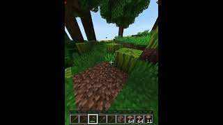 Tree Capacitor On Next Level