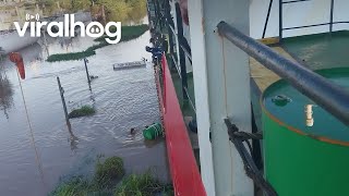 Boat Crew Rescues Stranded Dog || Viralhog