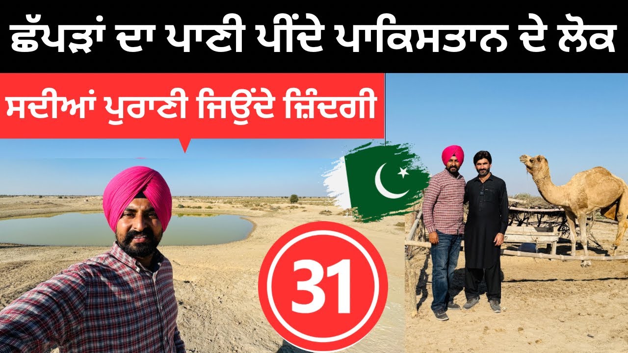 ਟੋਭਿਆਂ ਤੋਂ ਪਾਣੀ ਪੀਂਦੇ ਹਨ ਇਹ ਲੋਕ Cholistan Desert Pakistan | Punjabi Travel Couple | Ripan Khushi