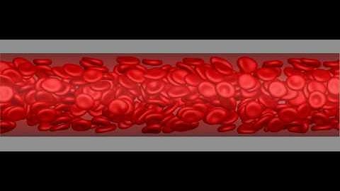 3D simulation of the flow of red blood cells in a microvessel