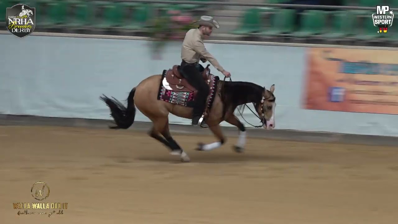 GUNNACEEMEROCK, Andrea Costa, 351, Finale NRHA Germany Open Breeders Derby 2025, Kreuth