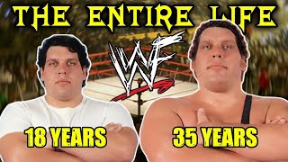 Celebrity The Entire Life Of André The Giant : The Tragic True Story Of Wrestling’s Biggest Legend Net Worth