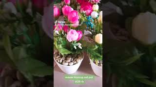 Bunga Set Pot Terjangkauuwwuu 25rb
