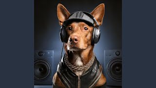 Mellow Pet Rhythms