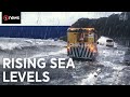 Rising Sea Levels Threaten New Zealand Coastlines 🌊
