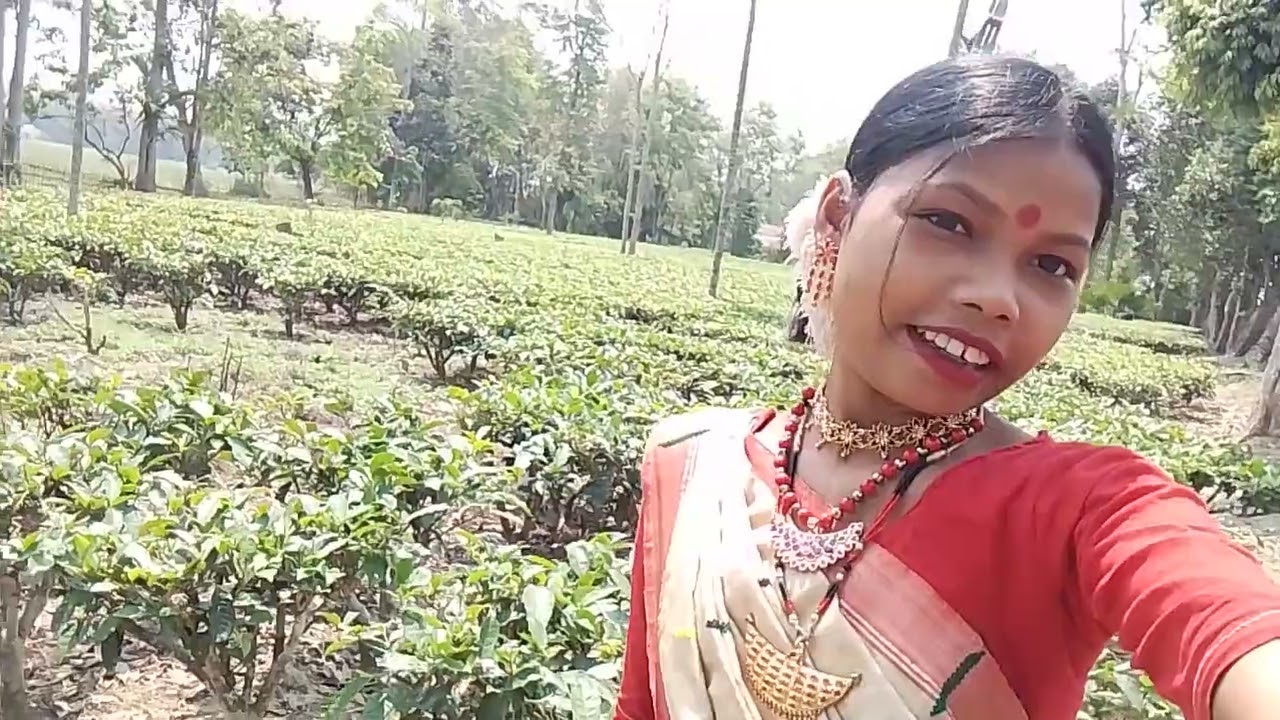 Bihu buli olp