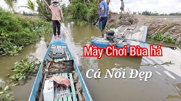 Test Kích Lạnh Cơ 60D, Chuyên Thả Cáp Cá Da Trơn, Trê Vàng Trắng, Lăng, Thác Lác, Chèn Bao Lên