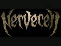 Nervecell - Ratios