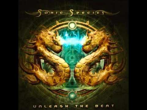 Sonic Species-The First And The Last