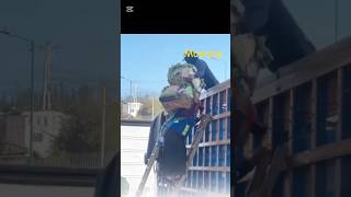 Mother carries heavy cabbage box while baby in the back🥹🥺😔🩷❤️💜 #mother #shortvideo #emotional #edit