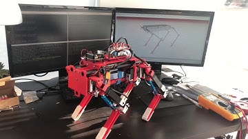 Quadruped Robot ツキ Inverse Kinematics Test