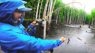 Pescando En Bosque Inundado Bajo La Lluvia