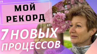 7 НОВЫХ ПРОЦЕССОВ