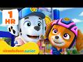 PAW Patrol La Pat Patrouille à La Rescousse Missions 3 Nickelodeon Jr France