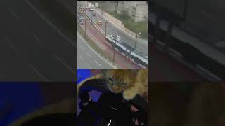 why are you driving on the wrong side? (I drive)