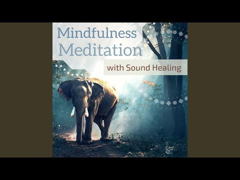 Top Tracks - Mindfulness