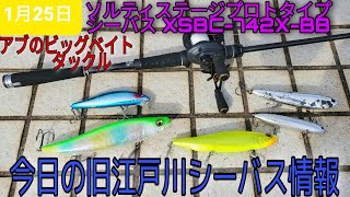 今日の旧江戸川シーバス情報！ アブのビッグベイトタックル