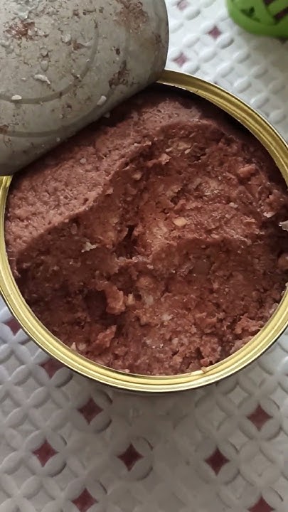 Тушенка для собак #собака #yorkie #животные - YouTube